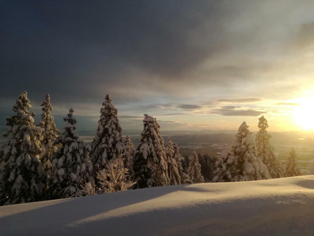 Apartmaji Vrhovnik Cerklje na Gorenjskem Esterno foto