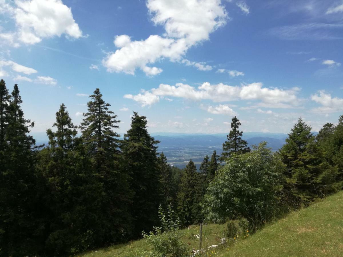 Apartmaji Vrhovnik Cerklje na Gorenjskem Esterno foto